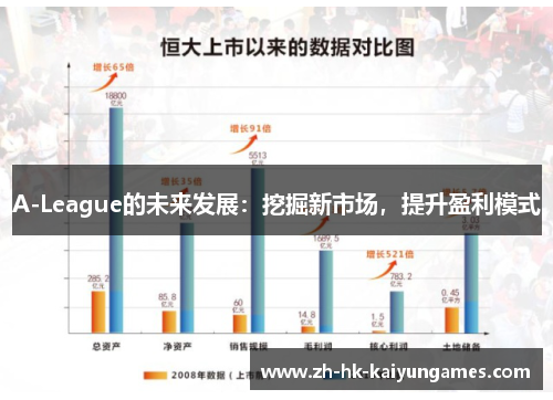 A-League的未来发展：挖掘新市场，提升盈利模式