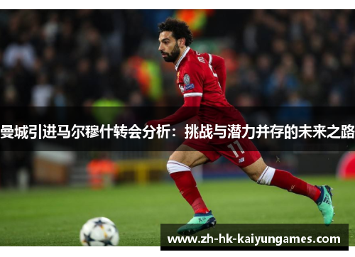 曼城引进马尔穆什转会分析：挑战与潜力并存的未来之路