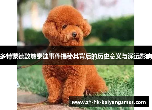多特蒙德致敬泰迪事件揭秘其背后的历史意义与深远影响