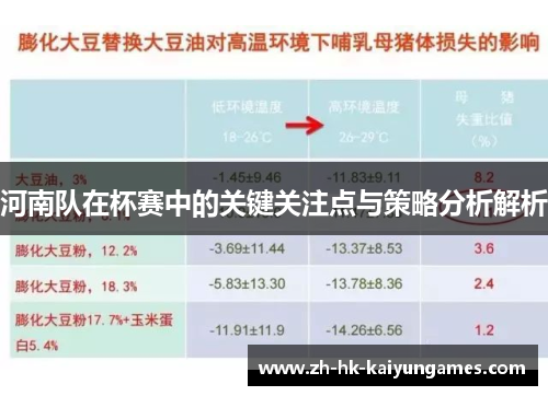 河南队在杯赛中的关键关注点与策略分析解析