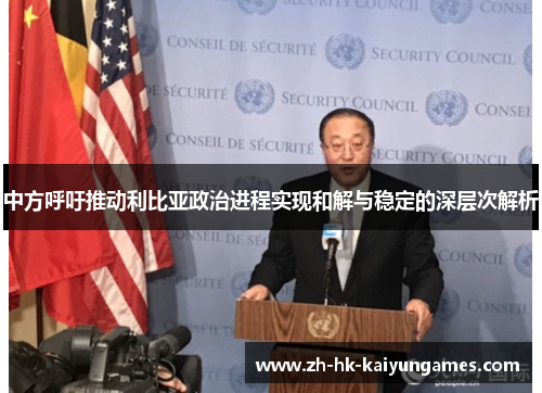 中方呼吁推动利比亚政治进程实现和解与稳定的深层次解析