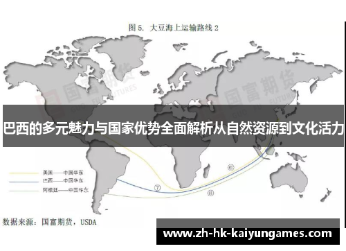 巴西的多元魅力与国家优势全面解析从自然资源到文化活力